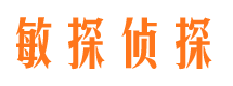 武冈市场调查